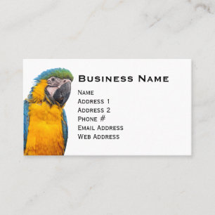 Blue and Gold Macaw Business Card