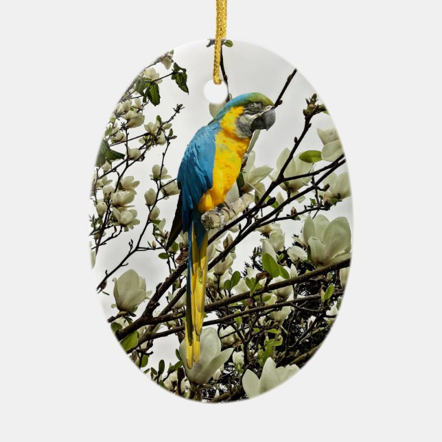 Blue and Gold Macaw Ceramic Ornament (Front)