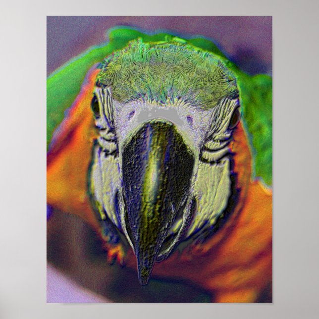 Blue And Gold Macaw Face Parrot Abstract Art Poster (Front)