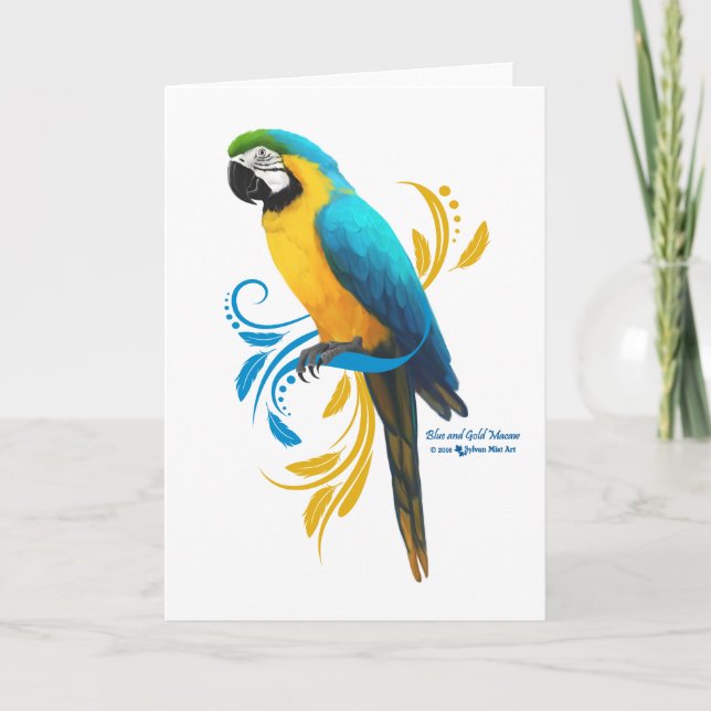 Blue and Gold Macaw Greeting Card (Front)