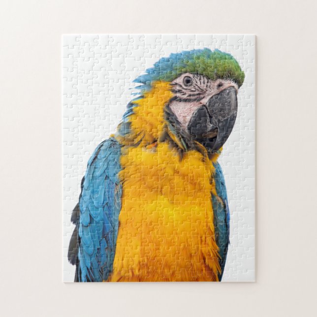 Blue and Gold Macaw Jigsaw Puzzle (Vertical)