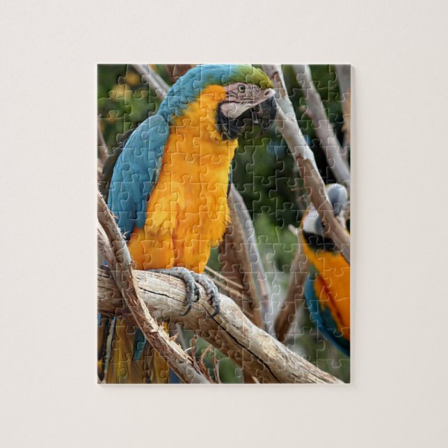 Blue And Gold Macaw Jigsaw Puzzle (Vertical)