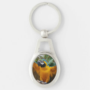 Blue and Gold Macaw Keychain