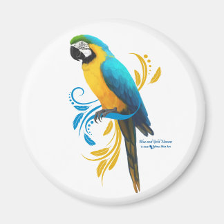 Blue and Gold Macaw Magnet