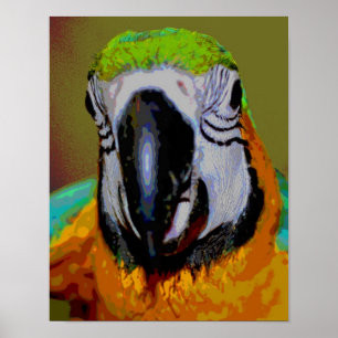 Blue And Gold Macaw Parrot Face Abstract Art Poster