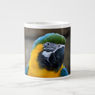 blue and gold macaw parrot head view c large coffee mug