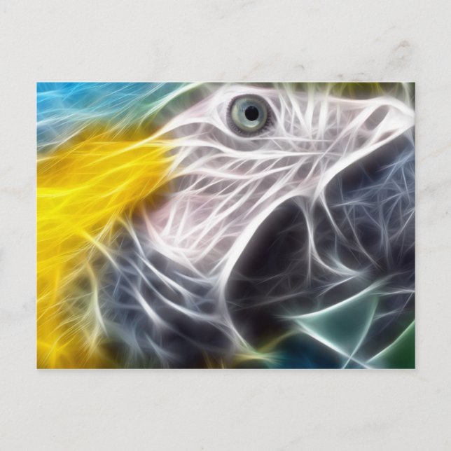 Blue and Gold Macaw Postcard (Front)