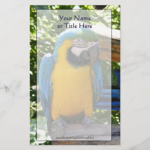 Blue and Gold Macaw Stationery