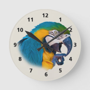 Blue and Gold Parrot Customizable Round Clock