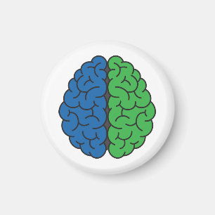 Blue and Green Brain   Intracranial Hypertension Magnet