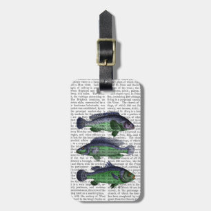 Blue and Green Fish Trio Luggage Tag