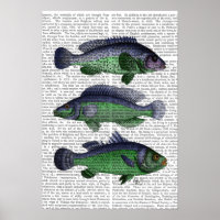 Blue and Green Fish Trio