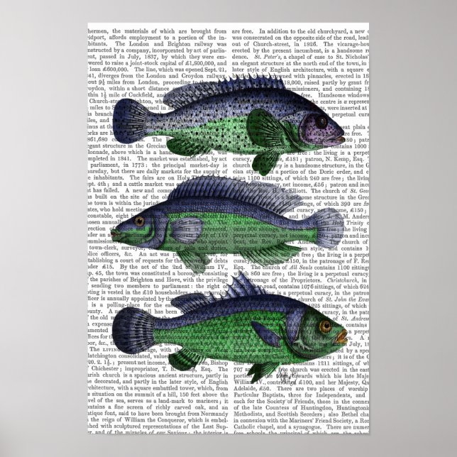 Blue and Green Fish Trio Poster (Front)