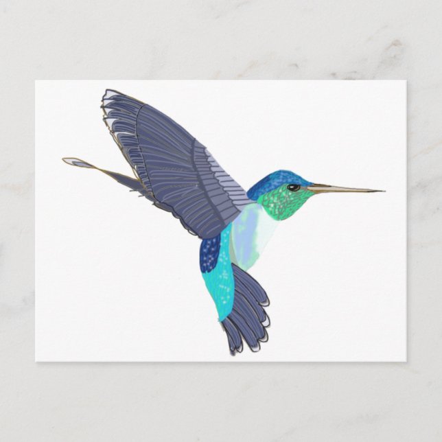 Blue and Green Humming Bird Postcard (Front)