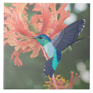 Blue and Green Hummingbird and Orange Hibiscus Tile