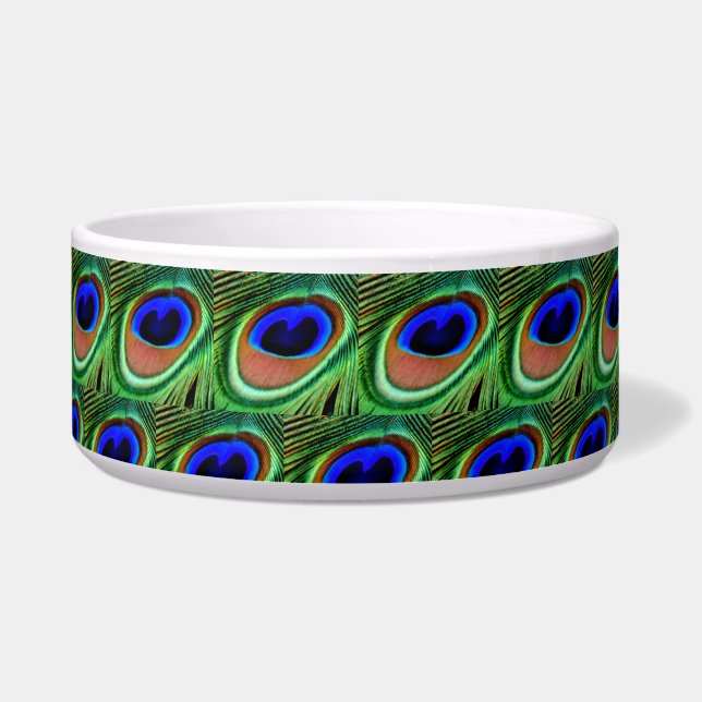 Blue and Green Peacock Feather    (Front)