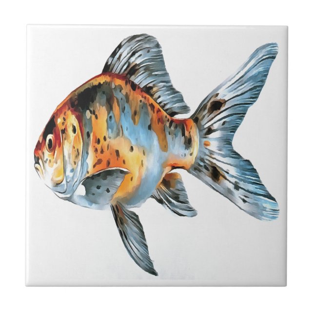 Blue and Orange Shubunkin Goldfish Tile (Front)