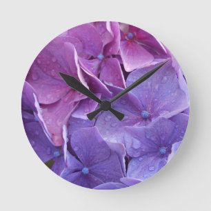 Blue and pink hortensia close up round clock