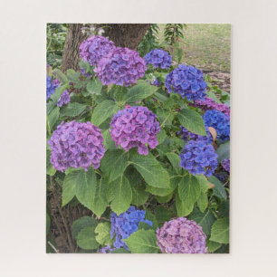 Blue and Pink Hydrangea Blooms Floral Jigsaw Puzzle