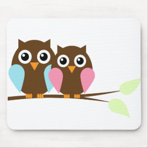 Blue and Pink Owls Couple Mouse Pad