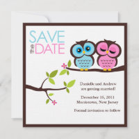 Blue and Pink Owls Wedding