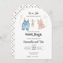 Blue and Pink Watercolor Gender Arch Invitation