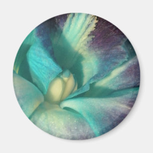 Blue and purple orchid close up magnet