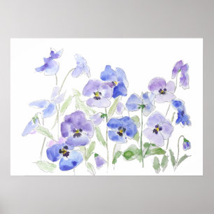blue and purple pansy watercolor and ink poster