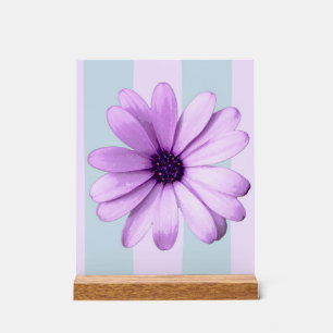 blue and purple striped daisy pattern acrylic sign