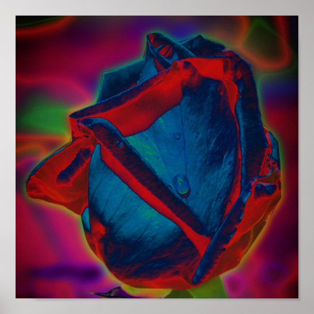 Blue And Red Rosebud Raindrop Abstract Floral  Poster (Front)