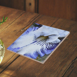Blue and White Bearded Iris Floral Tile