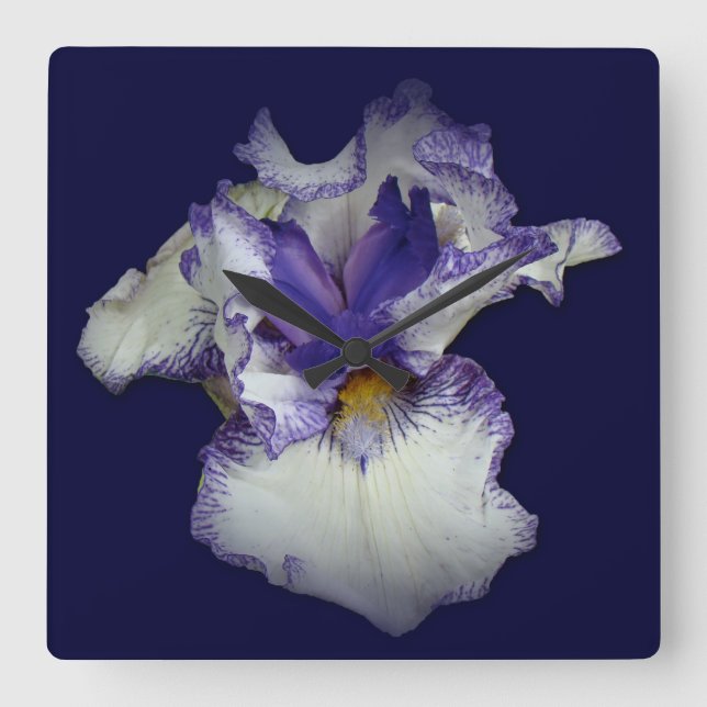 Blue and White Bearded Iris Flower Square Wall Clock (Front)