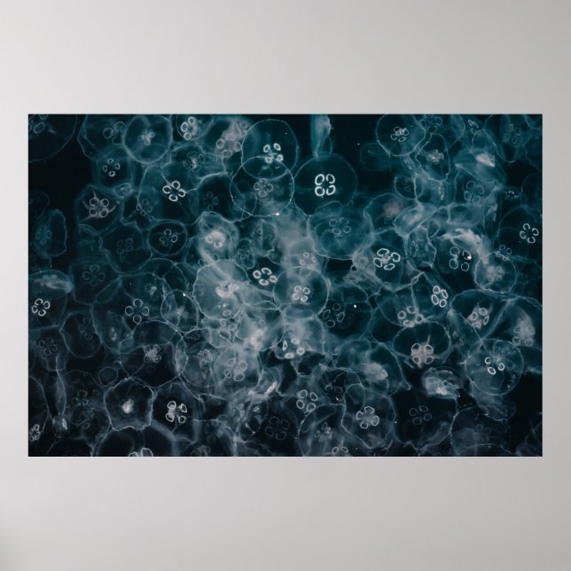 BLUE AND WHITE BUBBLES ILLUSTRATION POSTER (Front)