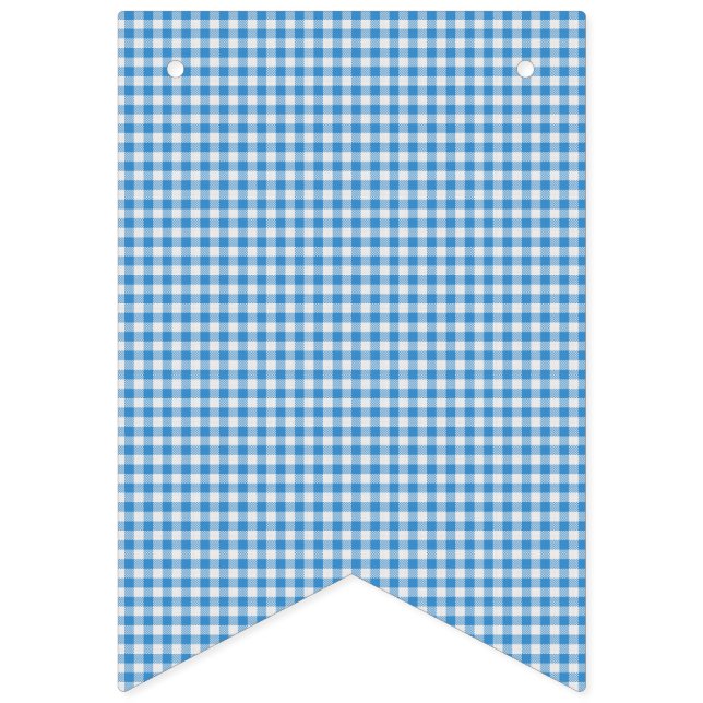 Blue and White Chequered Plaid. Bunting Flags (First Flag)