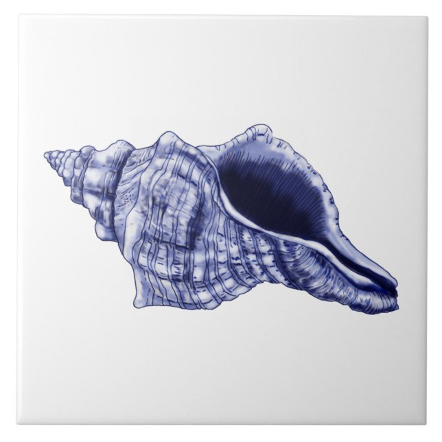 Blue and white conch shell ceramic tile (Front)