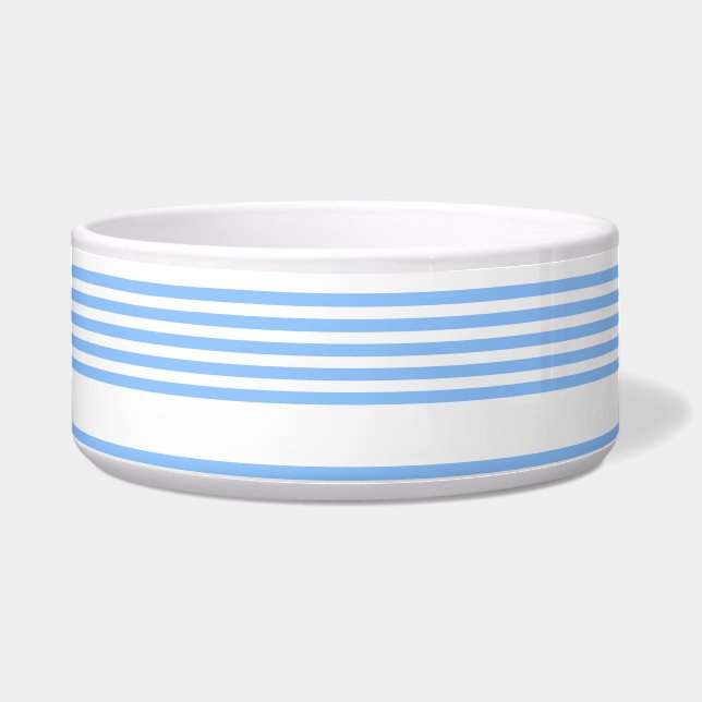 Blue and white five stripes pattern (Front)