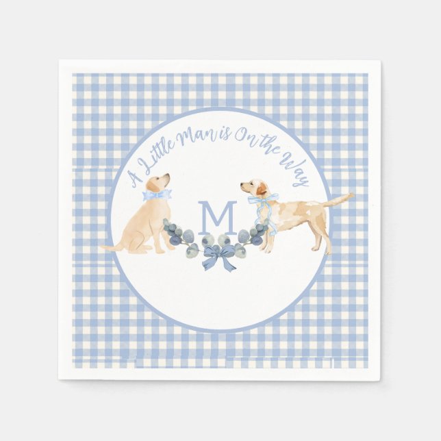 Blue and White Gingham Baby Shower Welcome Sign Napkin (Front)