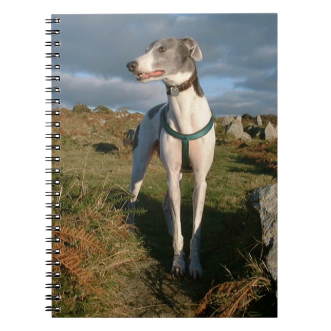 Blue and white greyhound  notebook (Front)