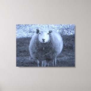 Blue and White  Mother sheep. Canvas Print