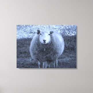 Blue and White  Mother sheep. Canvas Print