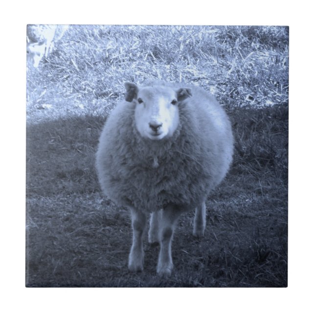 Blue and White  Mother sheep Tile (Front)