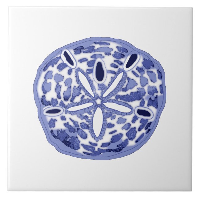Blue and white sand dollar ceramic tile (Front)