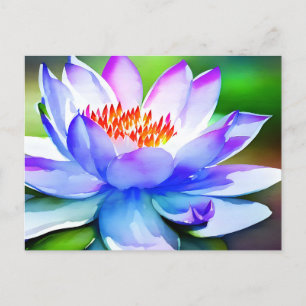 Blue and white water lily art postcard
