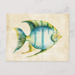 Blue and Yellow Aquarium Fish Postcard