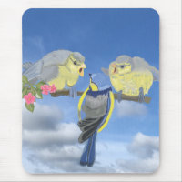 Blue and Yellow Bluetit Birds