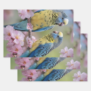 Blue And Yellow Budgies In Pink Blossom Tree, Wrapping Paper Sheet