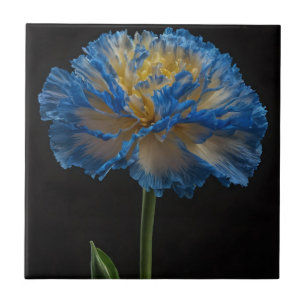 Blue And Yellow Carnation, Tile