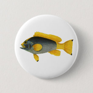 Blue and Yellow Grouper Fish, Vintage Marine Life 2 Inch Round Button