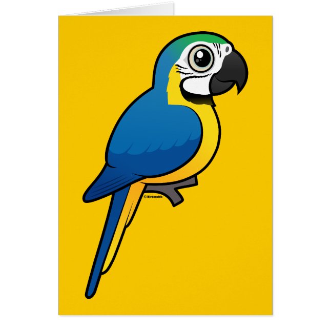 Blue-and-yellow Macaw (Front)