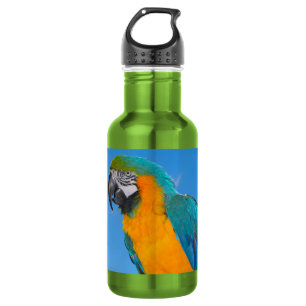 Blue and yellow macaw 532 ml water bottle